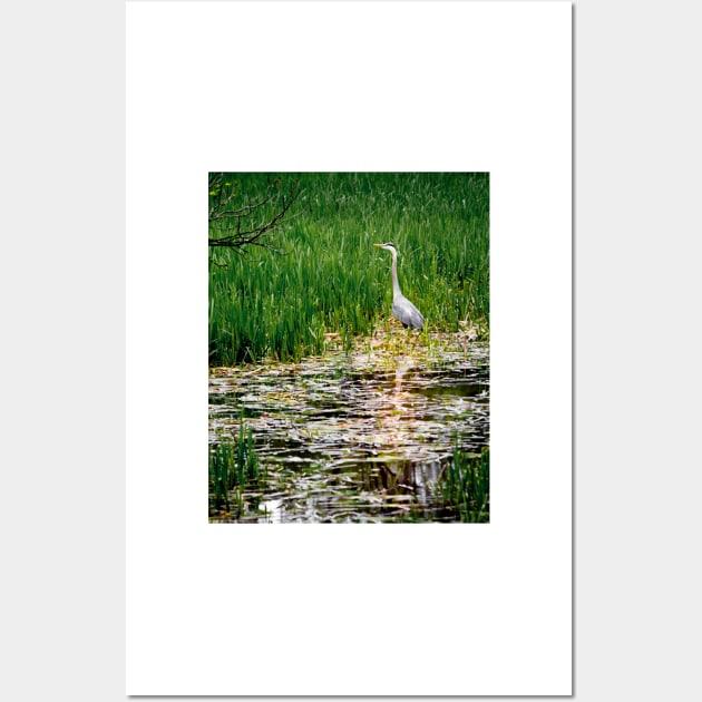 Blue Heron Wall Art by Robert Alsop